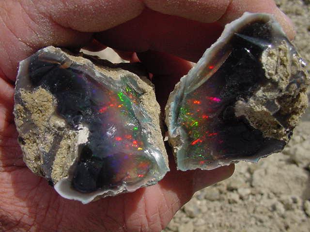 Opals mined from Bonanza Opal Mine, NV